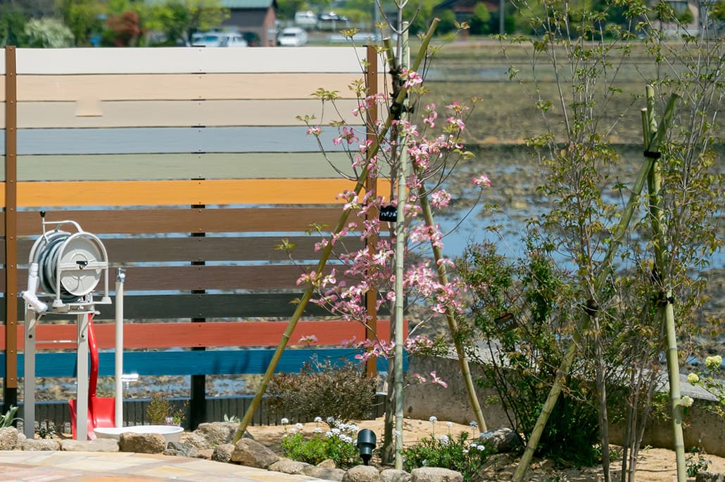 おすすめのシンボルツリー展示